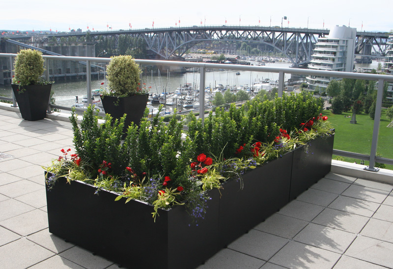 Elemental Gardens